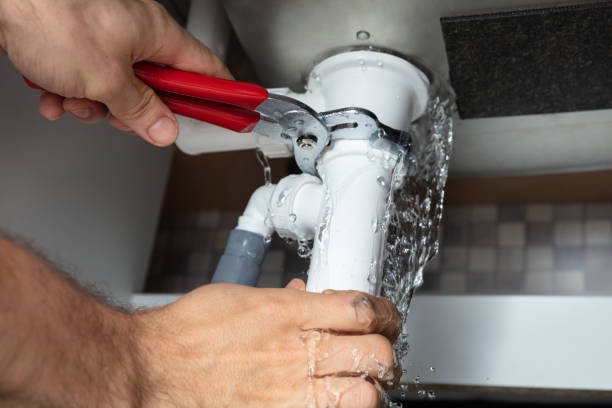 Best Mold removal after water damage  in Mead, CO
