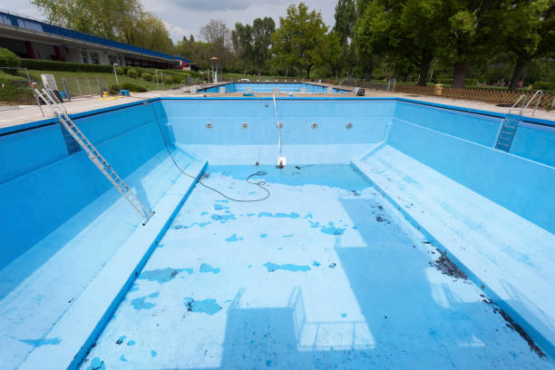 Best Basement water damage restoration  in Mead, CO