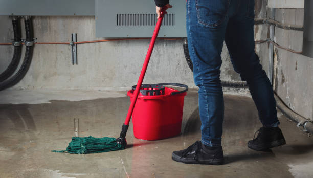 Best Water damage contractors near me  in Mead, CO