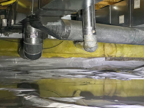 Best Local water damage restoration  in Mead, CO