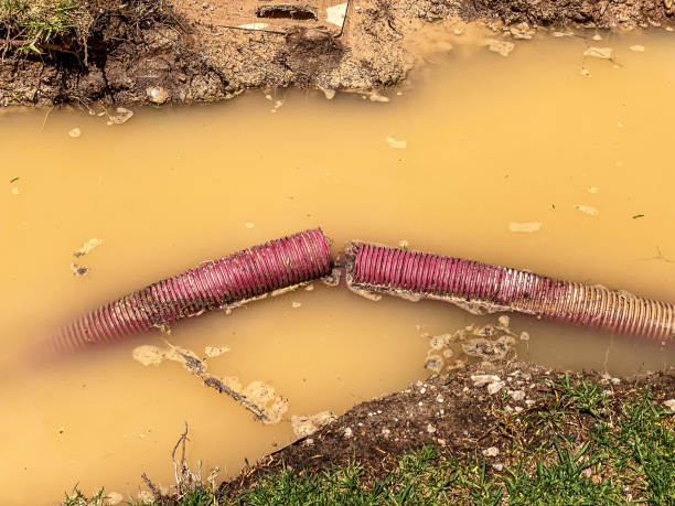Best Flooded house restoration  in Mead, CO